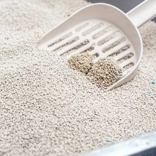 Pro Line Natürel-Parfümsüz Topaklanan Kedi Kumu 20 Lt