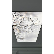 Renkli ve Şık Mutfak Tavan Seçenekleri, Modern ve Estetik Tasarımlar