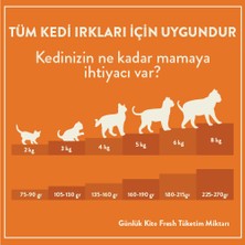 Fresh Kuzu Etli Kedi Yemeği 85 gr