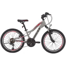 Bisan Buffalo 20 Jant 28K Çocuk Bisikleti Metalik Gri Siyah Kırmızı