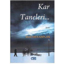 Kar Taneleri Mustafa Kaplan