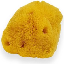 Doğal Deniz Süngeri, 25-32 Gr, Sarı, Temizleyici ve Doğal Bakım Ürünü