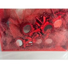 Ayna Kırmızı Tüllü Magnet Söz, Nişan, Düğün, Nikah, Mevlüt Hediyelik - 25 Adet