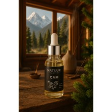 Natuur Collection 1881 Çam Esans Uçucu Yağ Doğal Yoğun Koku Buhurdanlık Difüzör Esansı 20 ml