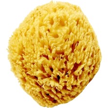 Doğal Deniz Süngeri 15-20 Gr, Temiz ve Hafif, Sağlıklı Cilt Bakımı Için Ideal