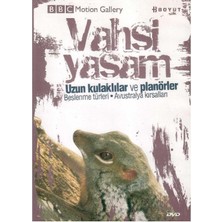 Bbc Motion Gallery - Vahşi Yaşam Uzun Kulaklılar ve Planörler Beslenme Türleri Avustralya Kırsalları -  (Dvd)