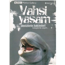 Bbc Motion Gallery - Vahşi Yaşam Denizlerin Hakimleri Kutuplarda Yaşam -  (Dvd)
