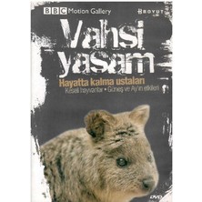 Bbc Motion Gallery - Vahşi Yaşam Hayatta Kalma Ustaları Keseli Hayvanlar Güneş ve Ay'ın Etkileri - (Dvd)