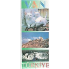 Türkiye - Van Kültür Haritası Resimli Görsel - Map  Plan (Harita)