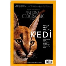 National Geographic Türkiye - Küçük Ama Yabani Kedi (Retro Koleksiyon Eski Sayı : Şubat 2017)NOT: Ekleri Yoktur!!!