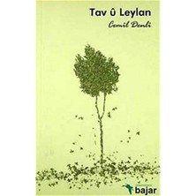 Tav U Leylan