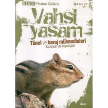 Bbc Motion Gallery - Vahşi Yaşam Tünel ve Baraj Mühendisleri Kazıcılar ve Inşaatçılar -  (Dvd)