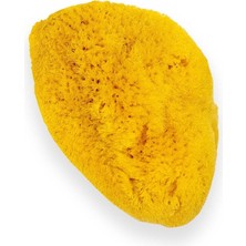Doğal Deniz Süngeri, 25-32 Gr, Sarı, Temiz ve Yumuşak Cilt Bakımı Için
