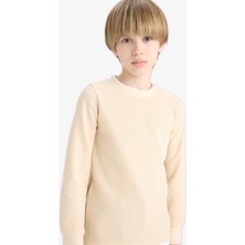 DeFacto Bisiklet Yaka Basic Düz Waffle Uzun Kollu Okul Tişörtü Erkek Çocuk V1186A625AU