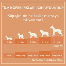 Kito Fresh Somon Etli Taze Köpek Yemeği