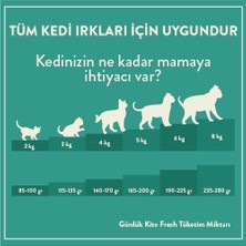Kito Fresh Dana Etli Kedi Yemeği 85 gr