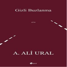 Gizli Buzlanma