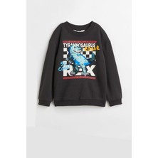 Erkek Çocuk Pul Nakşlı Dinazor Desenli Şardonlu Sweatshirt