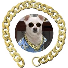 40 cm Köpek Tasması Zincir Altın (Kararmaz) - Metal Aksesuar