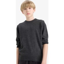 DeFacto Bisiklet Yaka Triko Kazak Erkek Çocuk A4992A825WN