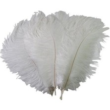 Beyaz Dekoratif Deve Kuşu Tüyü Vazo, 30-35 Cm, Şık ve Doğal Görünüm