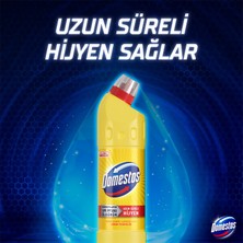 Domestos Yoğun Kıvamlı Çamaşır Suyu Limon Ferahlığı 750 ml