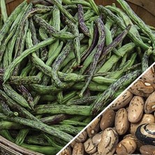 Yerli Çilli Kız Oturak Fasulye Tohumu 500 gr