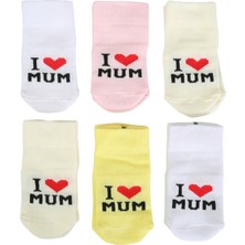 Pamuklu 6'lı Yenidoğan Erkek Bebek Çorap Mum