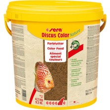 Sera Discus Color Nature 250GR Kovadan Bölme