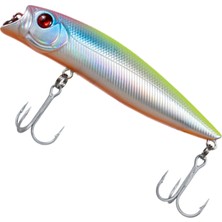 Ryuji Shallow Minnow 9cm 12GR Maket Yem