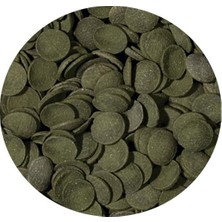 Tropical Green Algae Wafers 250GR Kovadan Bölme