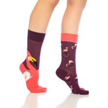 Dayco Unisex Bordo Flamingo Renkli Çorap