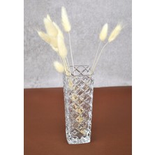 Adenya Cam Vazo Mini 15 Cm- 1 Adet 15X6 cm