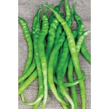 Acı Kıl Biber Tohumu 10 gr