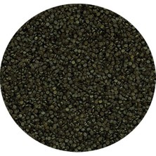 Tropical Super Spirulina Forte Granulat 250GR Kovadan Bölme