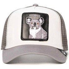 Goorin Bros The Slumped Koala  Şapka-101-1674