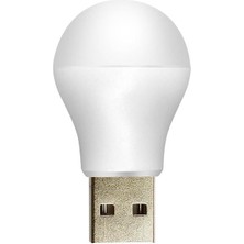 PM-20920 5V 1A USB LED Lamba
