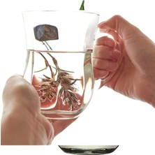 Altı Adet Büyük Kulplu Içecek Bardağı Seti, 350 Cc, Kutulu, Çeşitli Içecekler Için Uygun