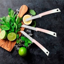 6'lı Meyve Bıçağı Seti, Paslanmaz Çelik, Dayanıklı ve Şık Tasarım