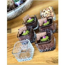 Kare Cam Magnolia Tatlı Kasesi, 6'lı, Şık ve Dayanıklı Cam Tasarım