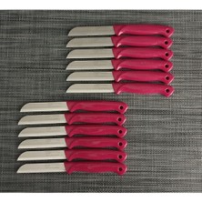 Parlak Pembe Meyve Bıçakları Takımı, 12 Parça, Şık ve Kullanışlı