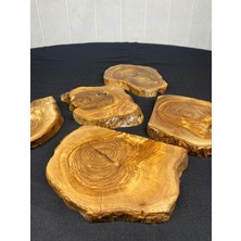 Kahverengi Ham Zeytin Ağacı 5 Parça Tabla, Hobi ve Epoksi Çalışması Için Ideal