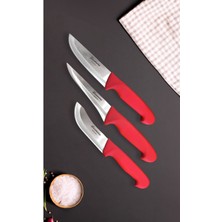 Üç Parça Mutfak Bıçak Seti, Et, Ekmek, Doğrama, Günlük Kullanım