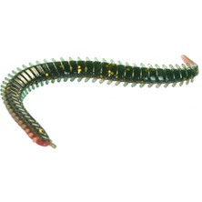 Lucky John Sandworm 4'' Kokulu Lrf Yemi 10 cm F29N
