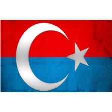 Türk Bayrağı ve Doğu Türkistan Bayrağı Sticker 00340