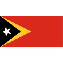Doğu Timor Ülke Bayrağı 45X22CM Duvar Tablosu Çerçevesiz Pvc Tablo