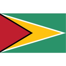 Guyana Ülke Bayrağı 45X27CM Duvar Tablosu Çerçevesiz Pvc Tablo