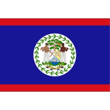 Belize Ülke Bayrağı 45X30CM Duvar Tablosu Çerçevesiz Pvc Tablo