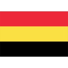 Belçika Ülke Bayrağı 45X30CM Duvar Tablosu Çerçevesiz Pvc Tablo