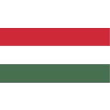 Macaristan Ülke Bayrağı 45X22CM Duvar Tablosu Çerçevesiz Pvc Tablo